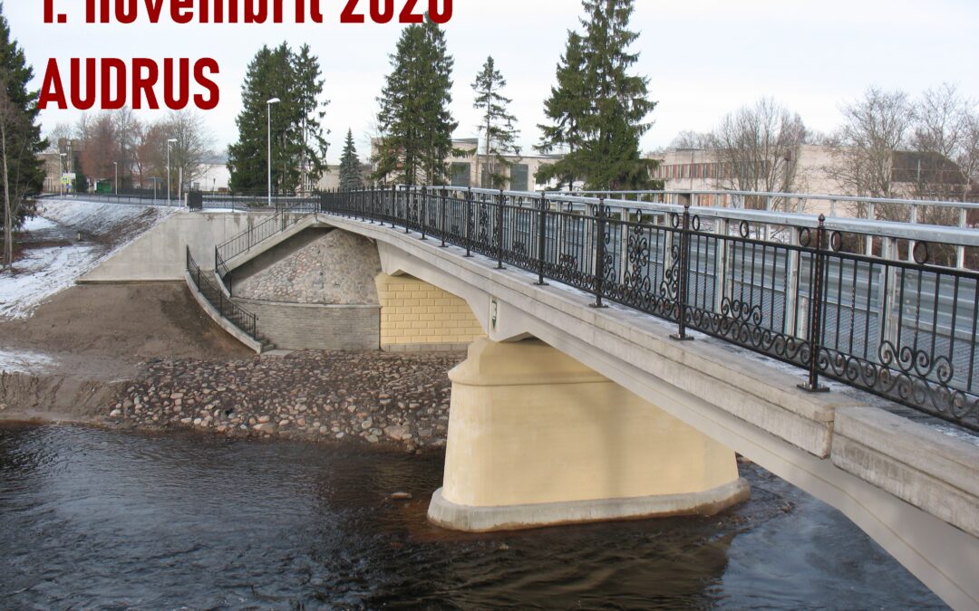 XI AUDRU SILDADE JOOKS